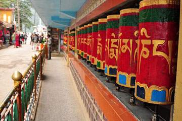 Dharamshala Car Rentals from Amritsar